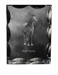 Art-Dog Tisztavérű arab ló fotó díszes kristályban, ajándék dekoráció (5055882450011)