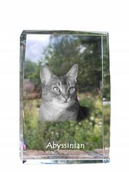 Art-Dog Abesszin macska kristályos fotó, emléktárgy, trófea, köszönetnyilvánítás (5055882467507)