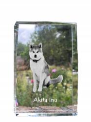 Art-Dog Akita fénykép kutya kristályban, ajándéktárgy, trófea, köszönetnyilvánítás, szobor (5055882465466)