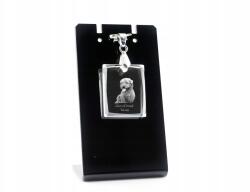 Art-Dog Glen of Imaal terrier kristály medál szíjjal, nyaklánc fotó (5055882439559)