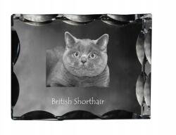 Art-Dog Brit macska rövidszőrű fotó díszes kristályban, ajándéktárgy, dekoráció (5055882449565)