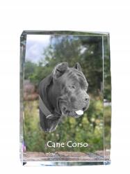 Art-Dog Cane Corso kutya kép kristályban, ajándéktárgy, trófea, köszönetajándék (5055882465626)