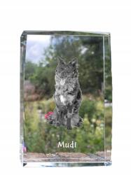 Art-Dog Mudi kutya kép kristályban, ajándéktárgy, trófea, köszönetnyilvánítás, szobor (5055882467217)