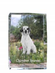 Art-Dog Clumber spániel kutya kép kristályban, ajándéktárgy, trófea, köszönetajándék (5055882466432)