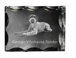 Art-Dog Német vizsla durva szőrű kutya fotó díszes kristályban, ajándéktárgy (5055882448216)