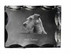 Art-Dog Ír terrier kutya kép díszes kristályban, ajándéktárgy, lakásdekoráció (5055882448506)
