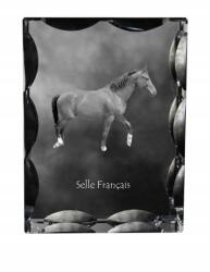 Art-Dog Selle Francais ló fotó díszes kristályban, ajándéktárgy, lakásdekoráció (5055882450448)