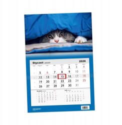 Helma Naptár 2026 Egyrészes Macska Helma (1586)