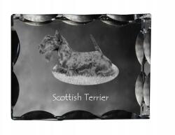 Art-Dog Skót terrier kutya kép díszes kristályban, ajándéktárgy, lakásdekoráció (5055882448346)