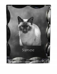 Art-Dog Sziámi macska fotó díszkristályban, ajándéktárgy, lakásdekoráció (5055882449497)