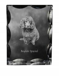 Art-Dog Boykin spániel kutya kép díszes kristályban, ajándéktárgy, lakásdekoráció (5055882449053)