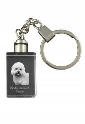 Art-Dog Dandie Dinmont terrier kristály kulcstartó kutya kulcstartó fényképpel (5055882427532)
