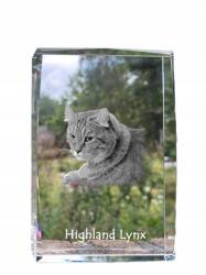 Art-Dog Skót macska kristályos fotó, emléktárgy, trófea, köszönetajándék (5055882467958)