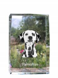 Art-Dog Dalmata kutya kép kristályban, ajándéktárgy, trófea, köszönetajándék (5055882465657)