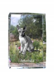 Art-Dog Peterbald macska kristályos fotó, emléktárgy, trófea, köszönetnyilvánítás (5055882467675)