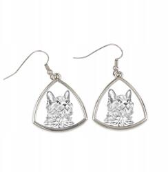 Art-Dog Nebelung macska háromszög alakú, fényképes lógós fülbevaló, személyre szabott (5055882476806)