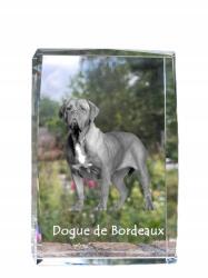 Art-Dog Bordeaux-i kutya képe a kutyáról kristályban, emléktárgy, trófea, köszönetnyilvánítás (5055882465671)