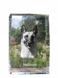 Art-Dog Malinois Belga juhászkutya fotó kutya kristály, ajándéktárgy, trófea (5055882465787)