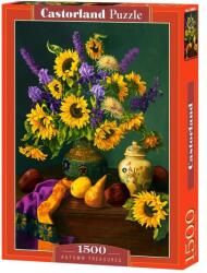 Castorland Пъзел Castorland от 1500 части - Есенни съкровища (C-152063-2)
