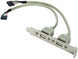 Gembird USB port hátlapi kivezetés (CCUSBRECEPTACLE) (CCUSBRECEPTACLE) (CCUSBRECEPTACLE)