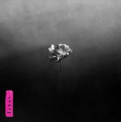 Little Simz - Lotus (CD) (5056167180999)