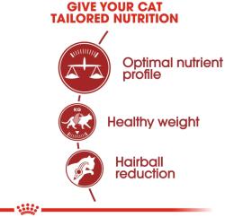 Royal Canin FIT 32 - táplálék felnőtt macskának 10 kg