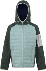 Regatta Outdoors Newhill Hybrid Jr (rkn204zyf)