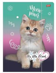 St. Majewski My Little Friend cicás gumis mappa - Kitty Party (692147) - gigajatek