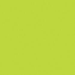  Kivi zöld Maki szalvéta 20 db-os 33x33 cm