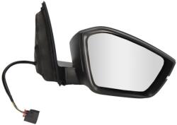 Blic Külső Visszapillantó Tükör 5402-43-2195311P Blic