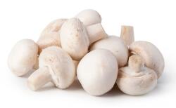 Farma z Rohoznice Gomba 500 g csomagolva