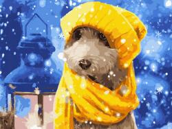 iPicasso Festés számok szerint iPicasso 30x40 cm kereten (PC3040093)