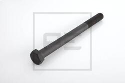 PE Automotive Man Csavar M20X2X260 Rugóstag Pe Automotive 030.272-00A (030.272-00A)