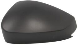 Blic Külső Visszapillantó Tükörvédő 6103-43-2557310P Blic