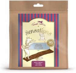 Terra Canis Terra Canis Sensations Jolly Jerkies Horse 90 g