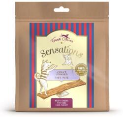 Terra Canis Terra Canis Sensations Jolly Jerkies Turkey 90 g