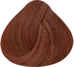 ALFAPARF Milano Alfaparf Evolution Shine effect 7.46 60ml