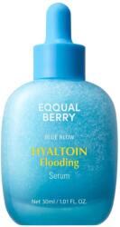 EQQUALBERRY Hyaltoin Flooding Serum - 30 ml