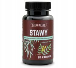 Skoczylas Ízületek Skoczylas