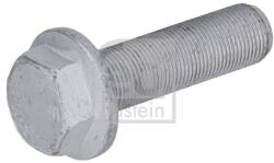 Febi Bilstein Surub, disc frana FEBI BILSTEIN 1001806 (1001806) - fixbox