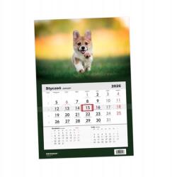 Helma Naptár 2026 Egyrészes Corgi Kutya Helma (N522-26-02)