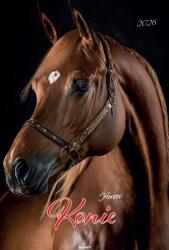 Avanti 2026 Falinaptár A3 Lovak (A3-2)