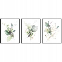 Triptichon poszter szett virágok növények grafika botanika zöld 3db 40x50cm (botanika zielone liście tryptyk rośliny 3szt)