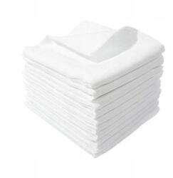  Tetra Tisztítókendő Impregnálószer Eltávolításához 40x40 10 darabos (5904276097403)