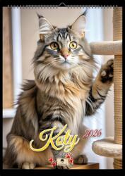 Pan Kalendarzyk 2026 A4-ES Falinaptár Spirál Macskák (V.3)