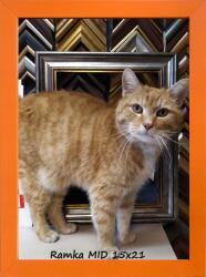  Klasszikus képkeret falra és elhelyezésre 15x21 fa (5904996591595)