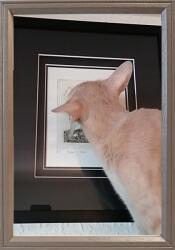 Marek & Darek Kész Keret Állításhoz Vagy Akasztáshoz Fa Fénykép 20X30 16 MM Delta (5904996596941)