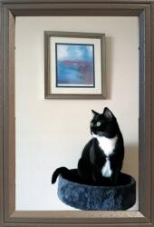 Marek & Darek Ezek a képkeretek várnak rád: 15x23 álló és akasztható Delta (5904996596934)