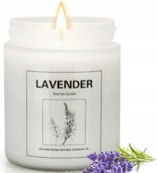 ADMIT Gyertya Lavender and Cactus flower Candles Gifts for Women (ADMIT-VIVAT)