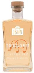  Ibhu Indlovu Citrus Orange & Marula gin DRS (0, 5L / 43%)